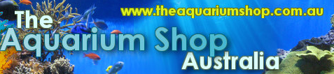 The Aquarium Shop Promo Codes 